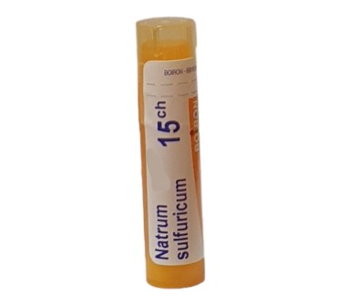 NATRUM SULFURICUM 15 CH